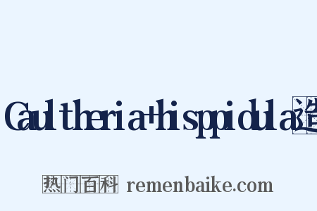 Caultheria+hisppidula造句是什么意思的图片